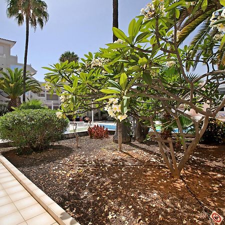 Breeze Island Appartement Chayofa Buitenkant foto
