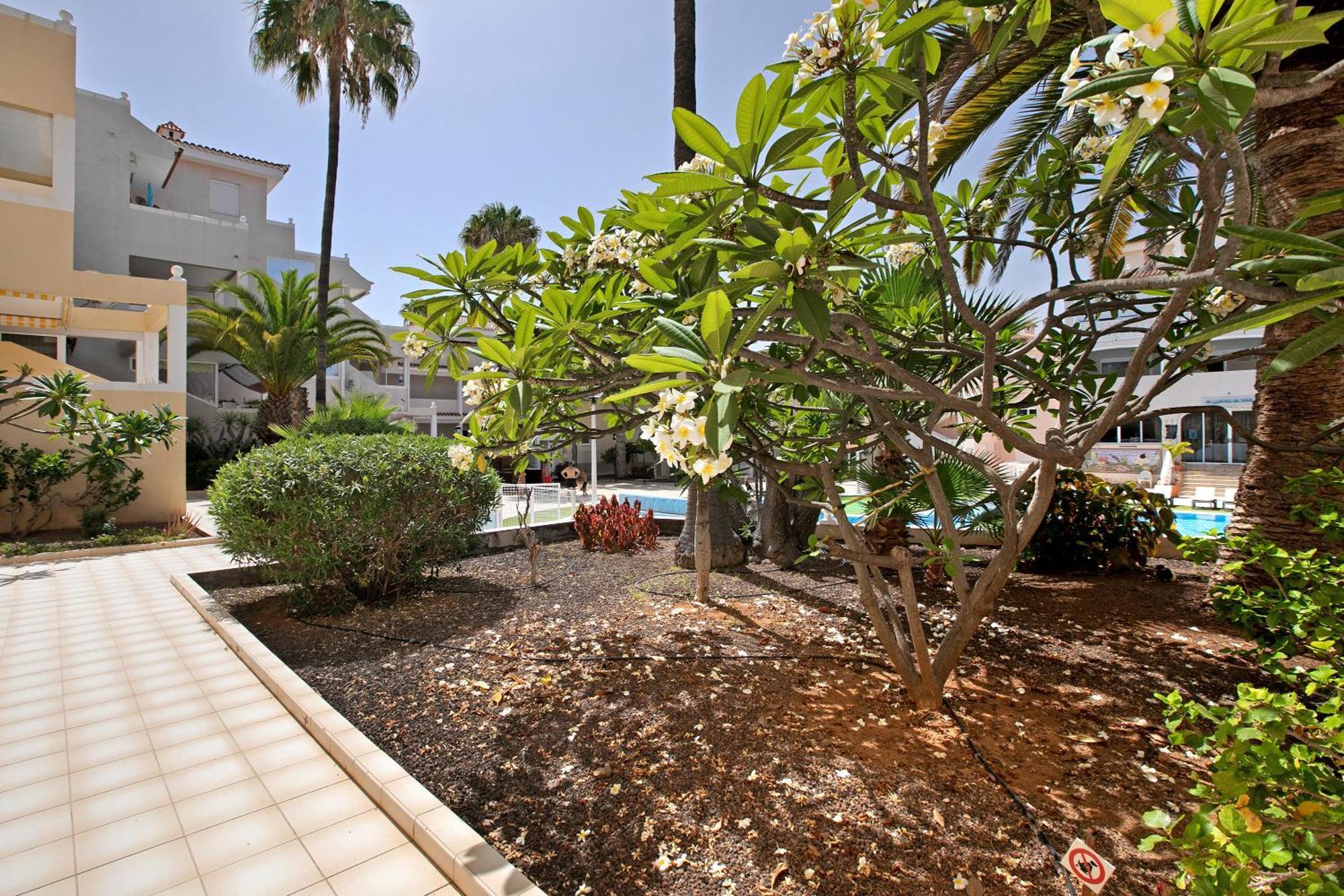 Breeze Island Appartement Chayofa Buitenkant foto